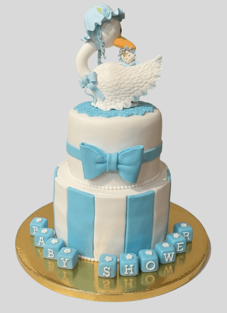 Nice Stork Cake