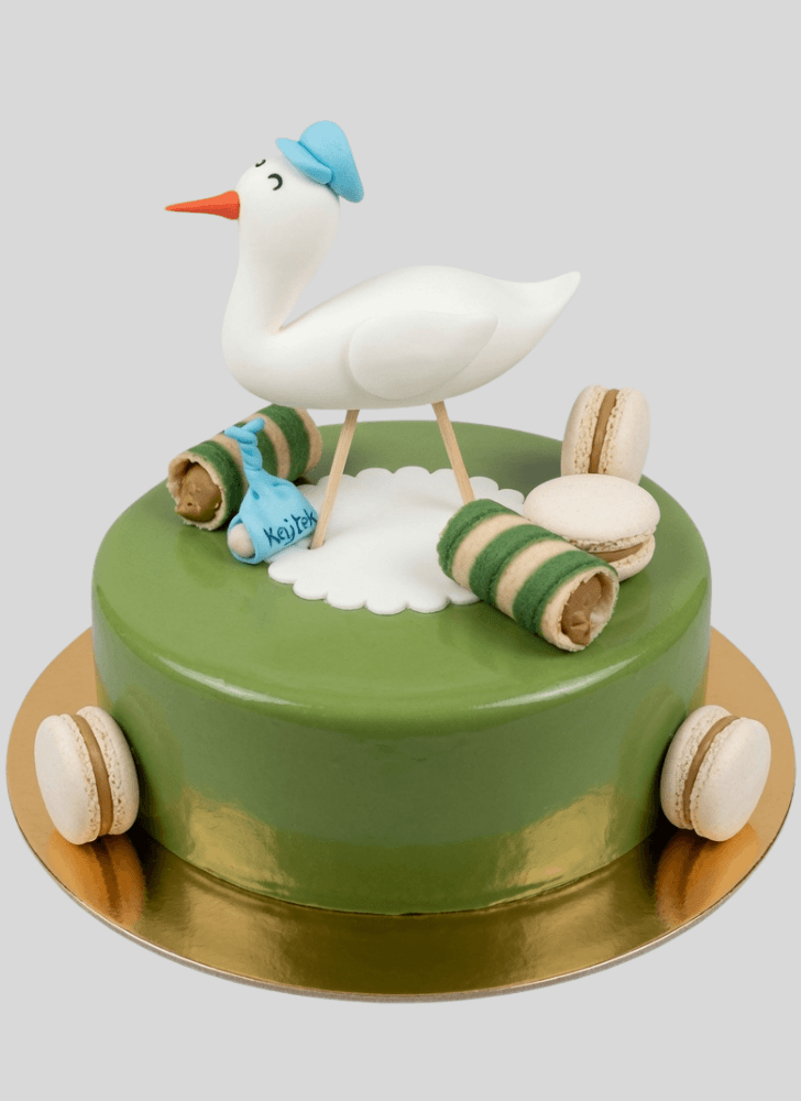 Radiant Stork Cake