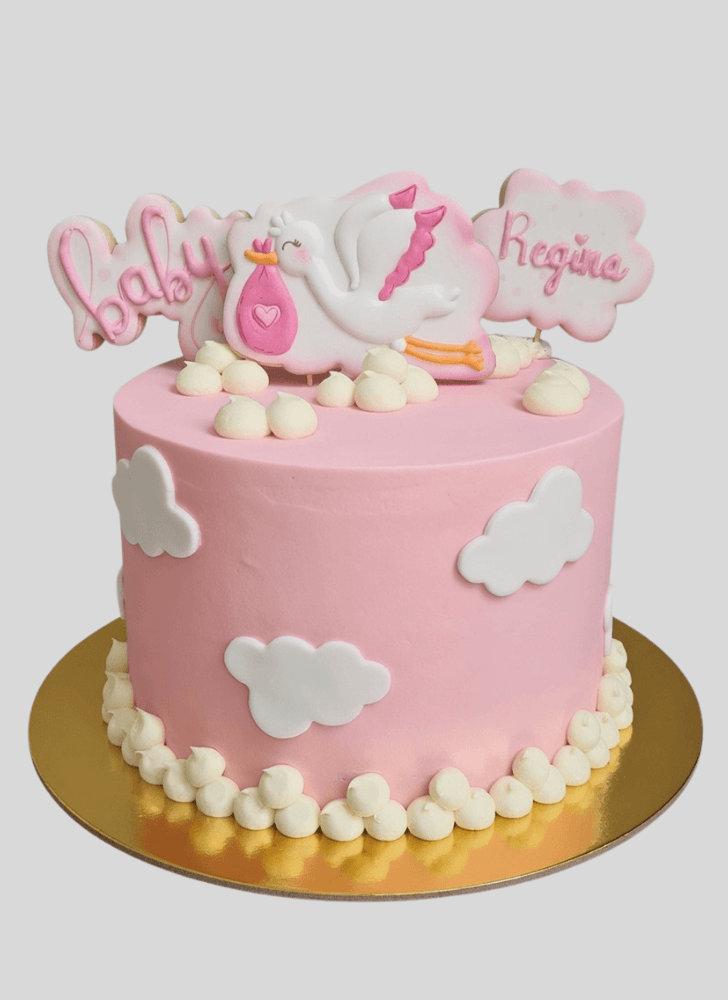 Shapely Stork Cake