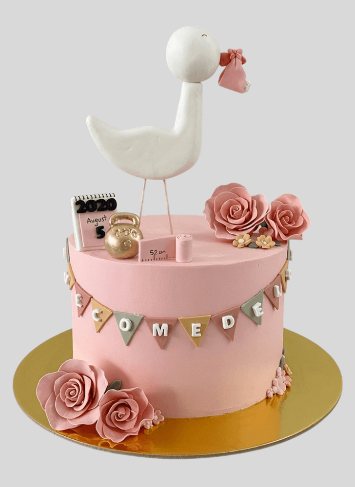 Slightly Stork Cake