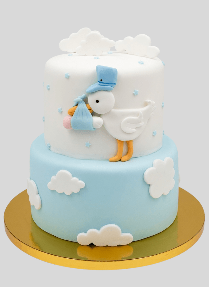 Superb Stork Cake