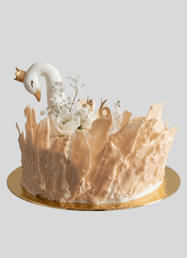 Divine Swan Cake