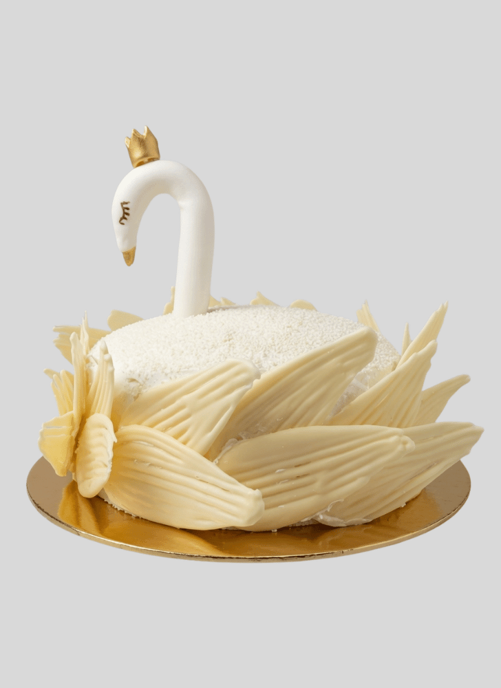 Excellent Swan Cake