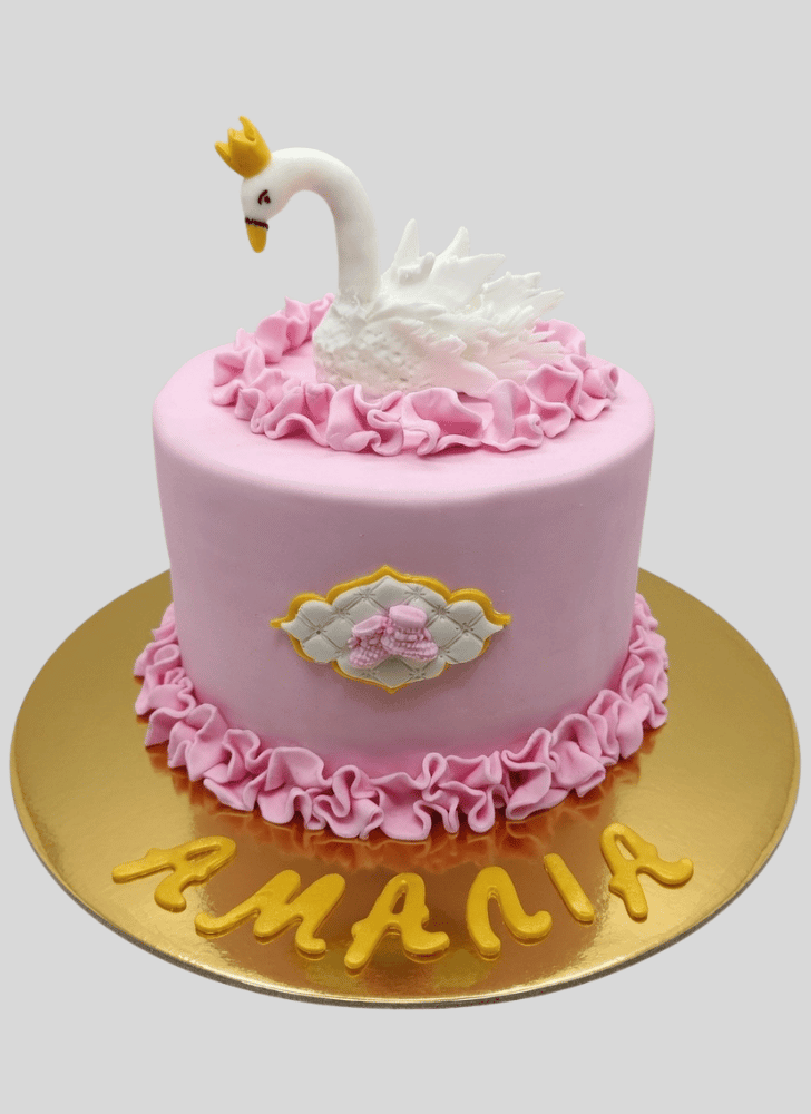 Good Looking Swan Cake