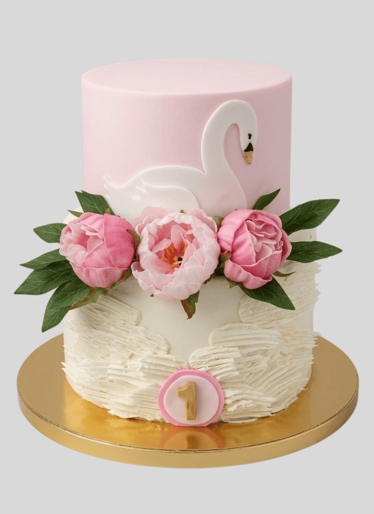 Nice Swan Cake