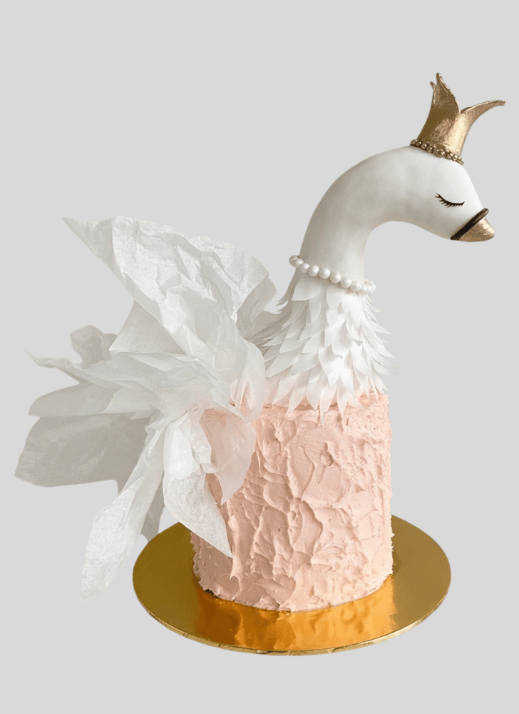 Shapely Swan Cake