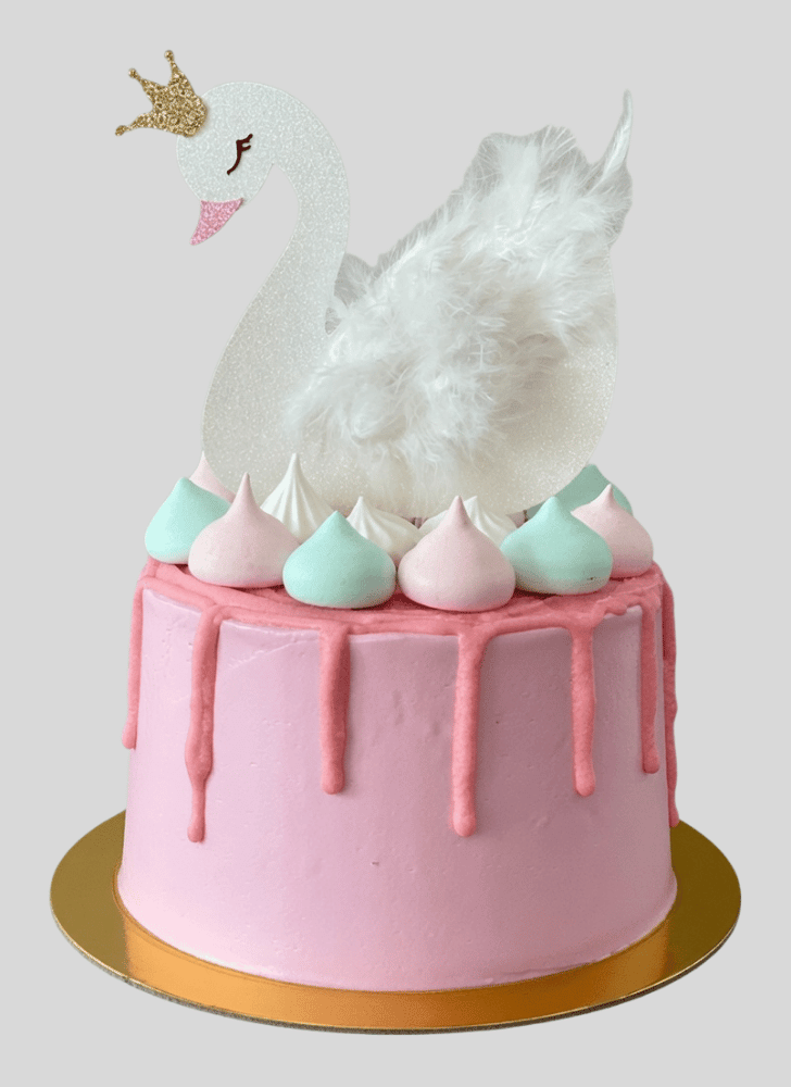 Wonderful Swan Cake Design