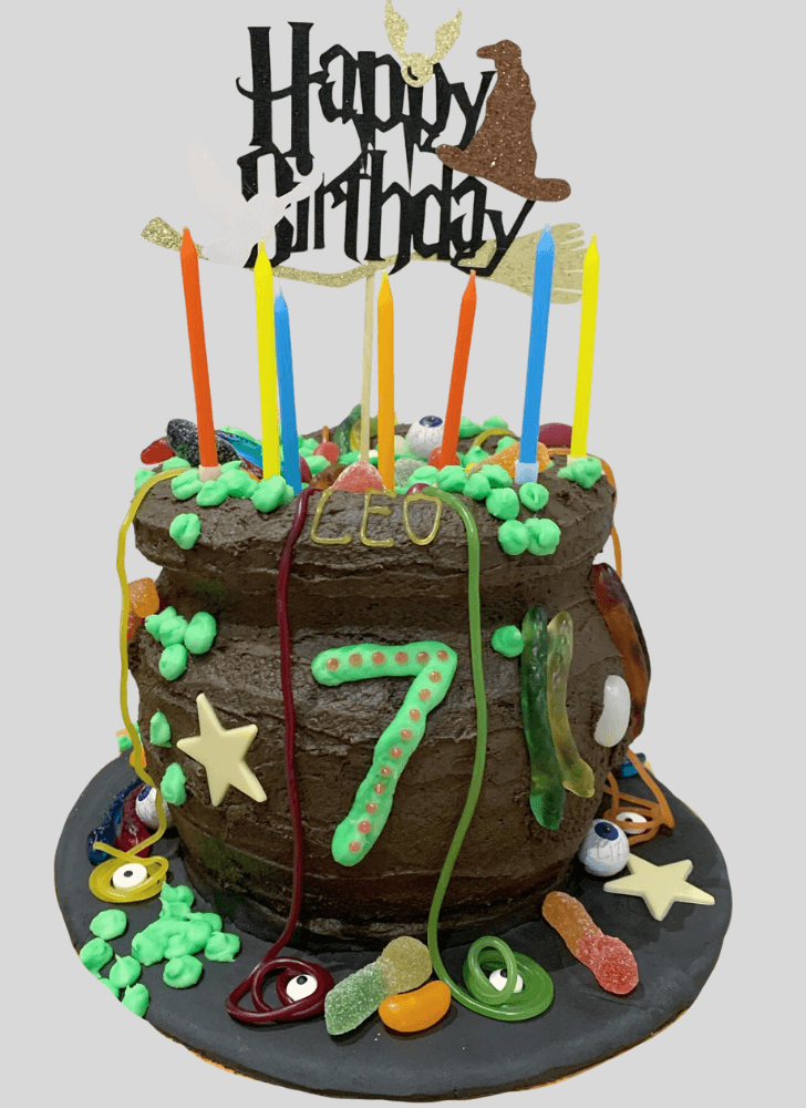 Shapely The Black Cauldron Cake
