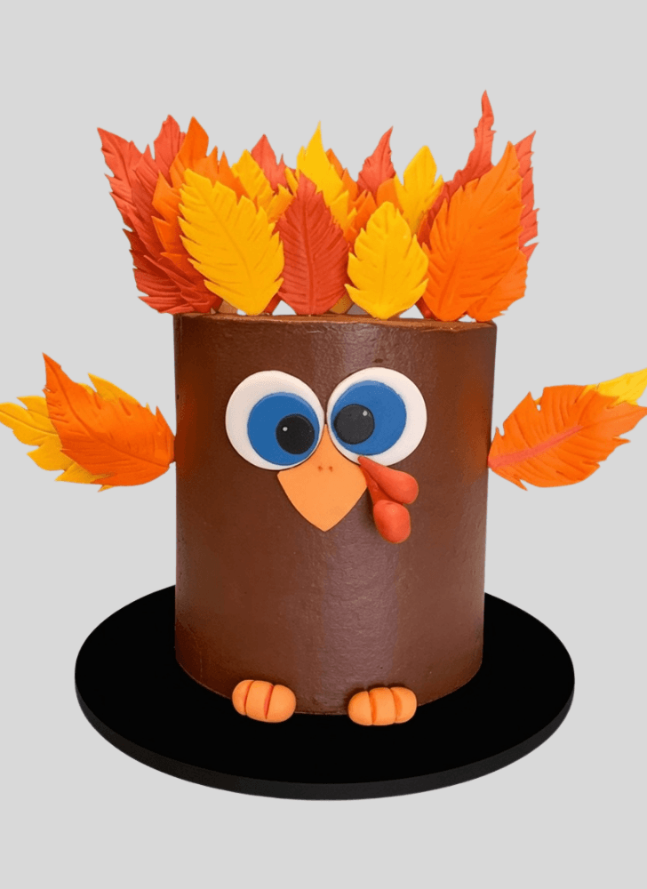 Magnetic Turkey Cake