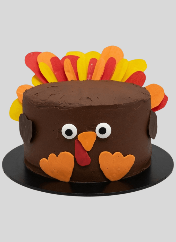 Nice Turkey Cake