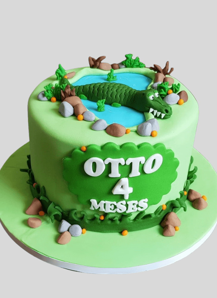 Bewitching Alligator Cake