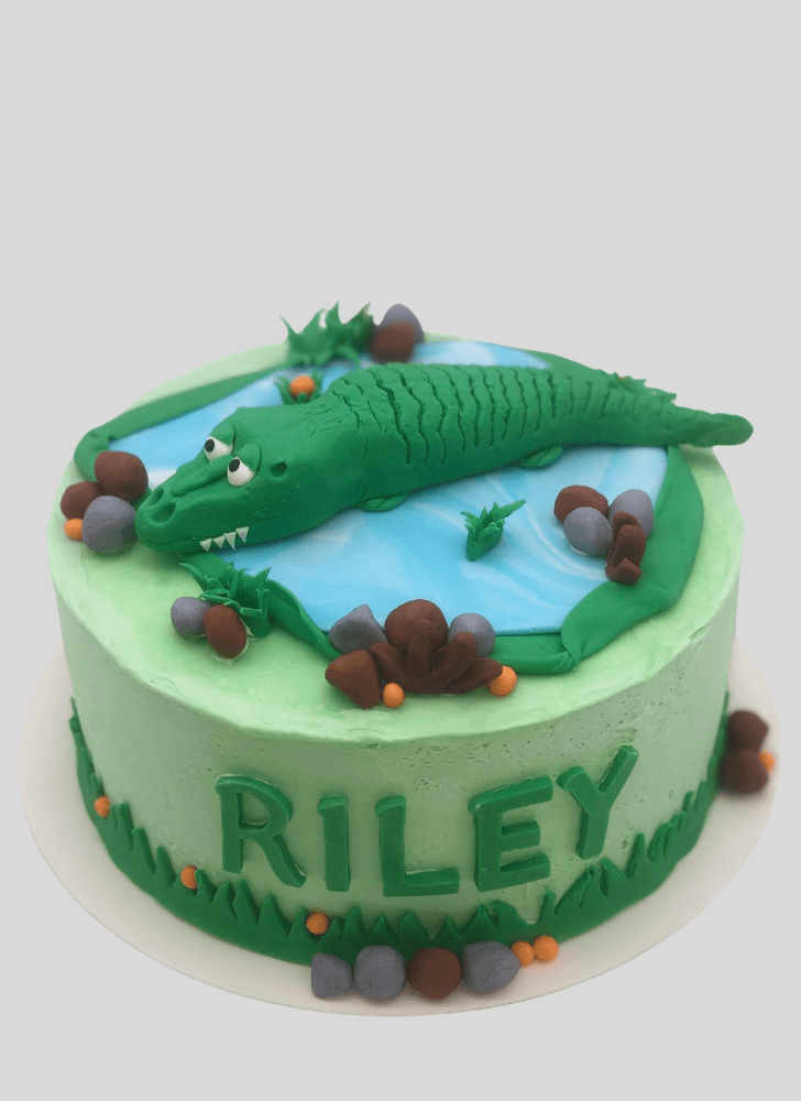 Slightly Alligator Cake