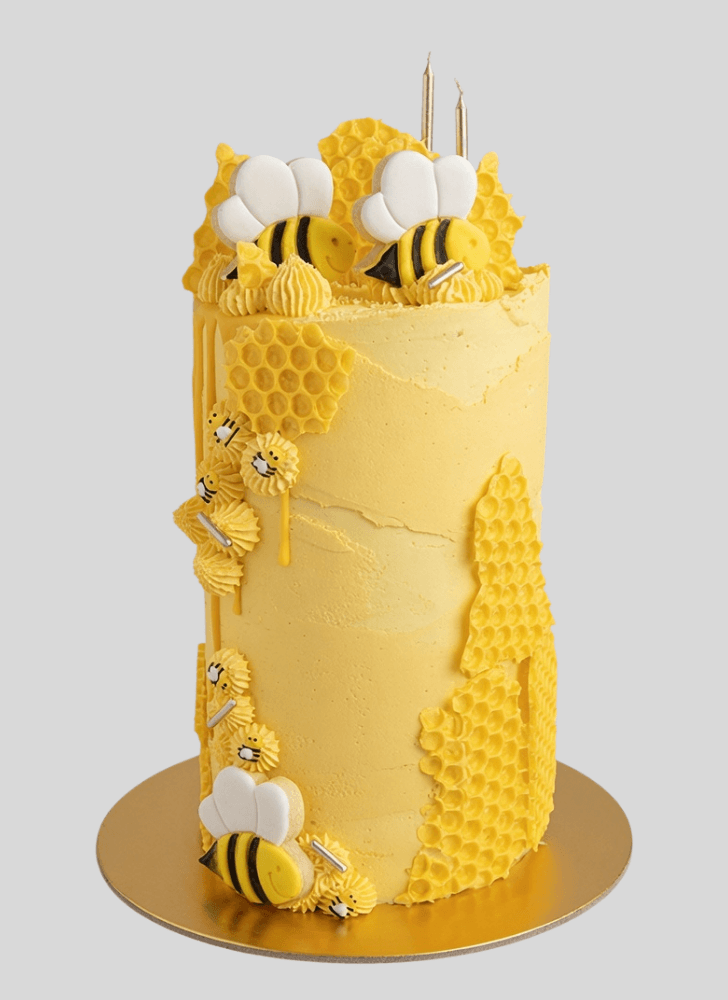 Magnetic Bee Cake
