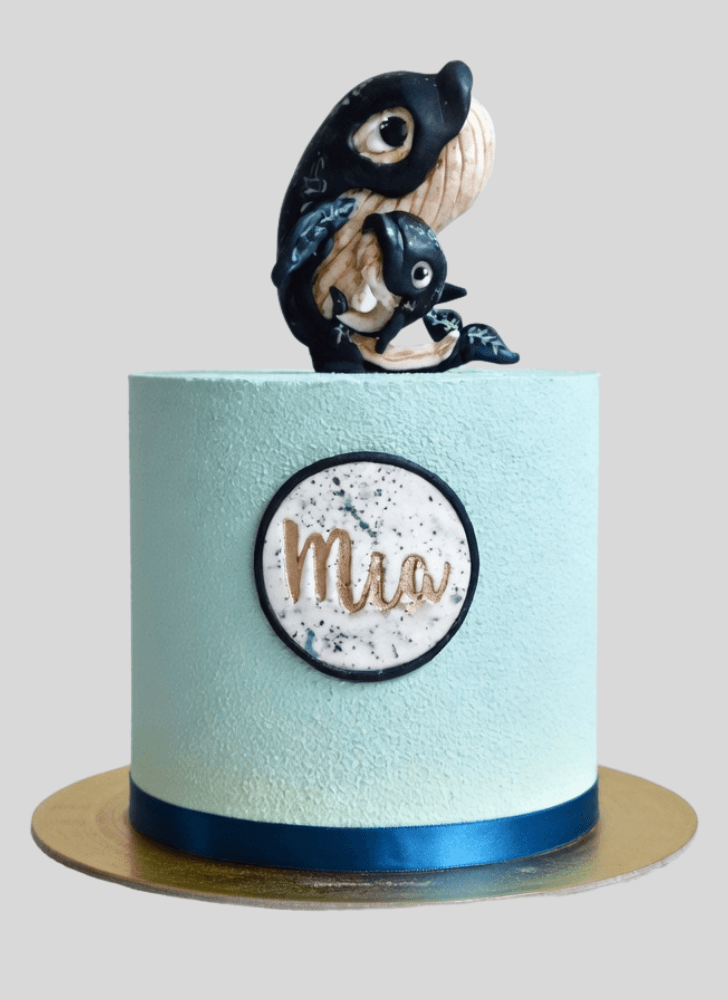 Handsome Blue Whale Cake