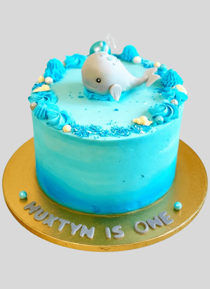 Magnetic Blue Whale Cake