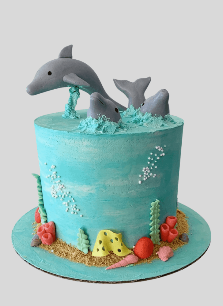 Refined Coral Cake