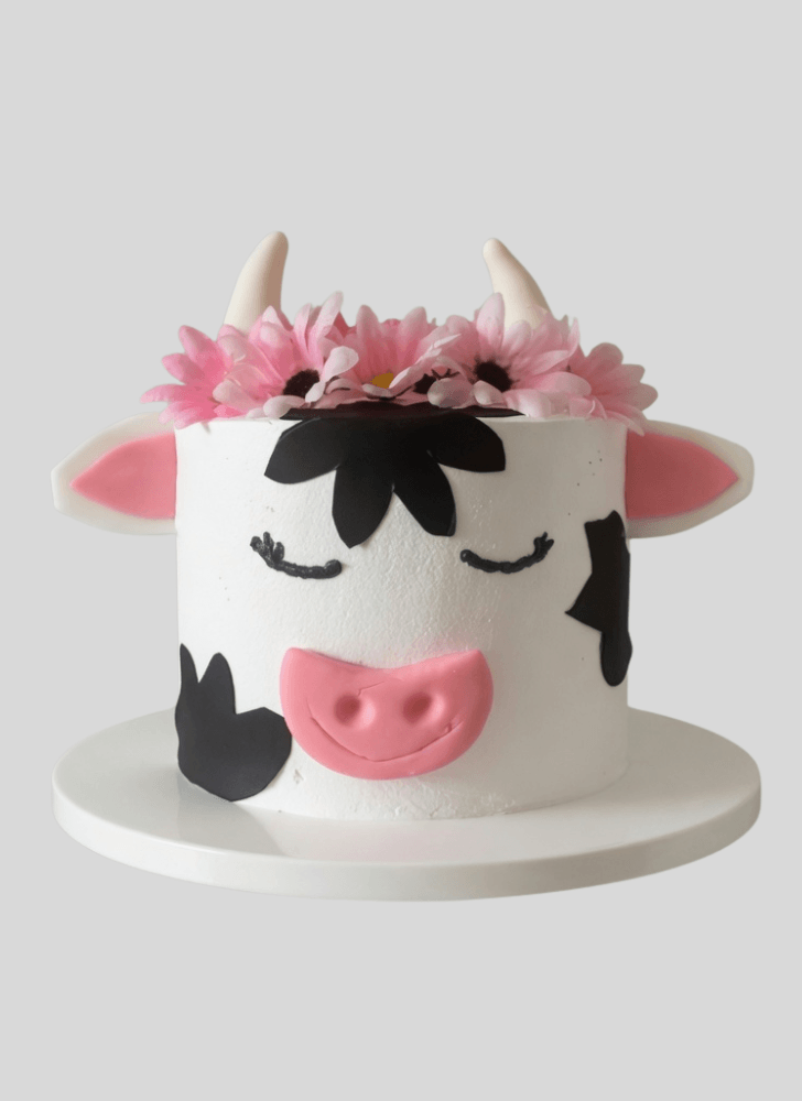 Beauteous Cow Cake