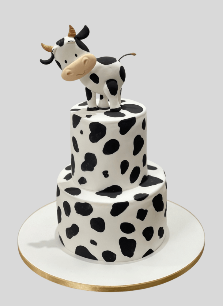 Bewitching Cow Cake