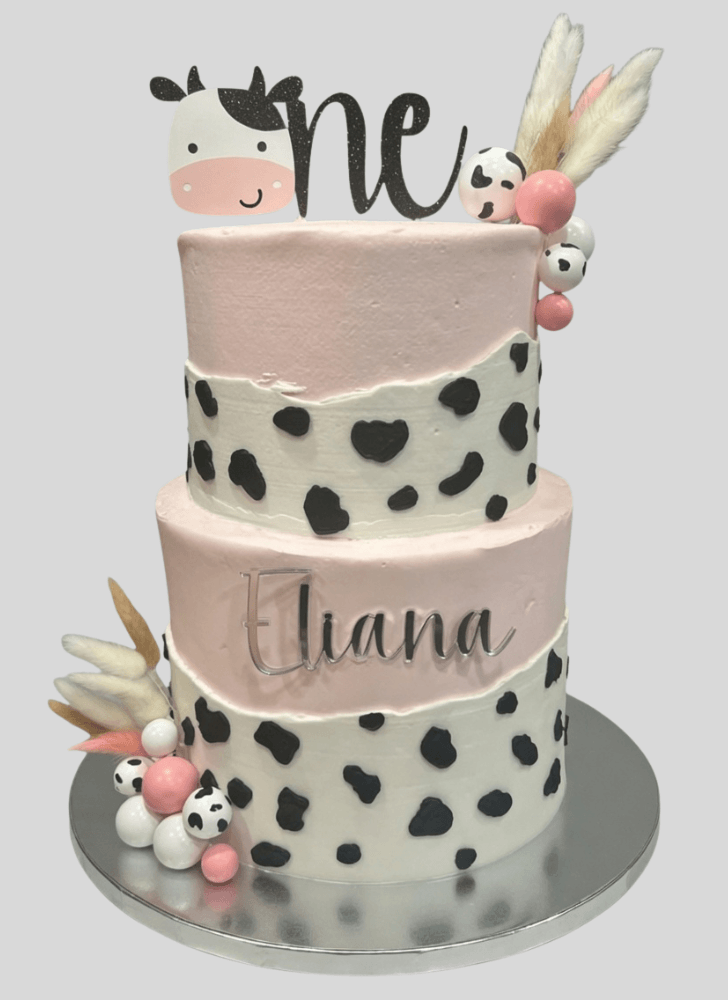 Classy Cow Cake
