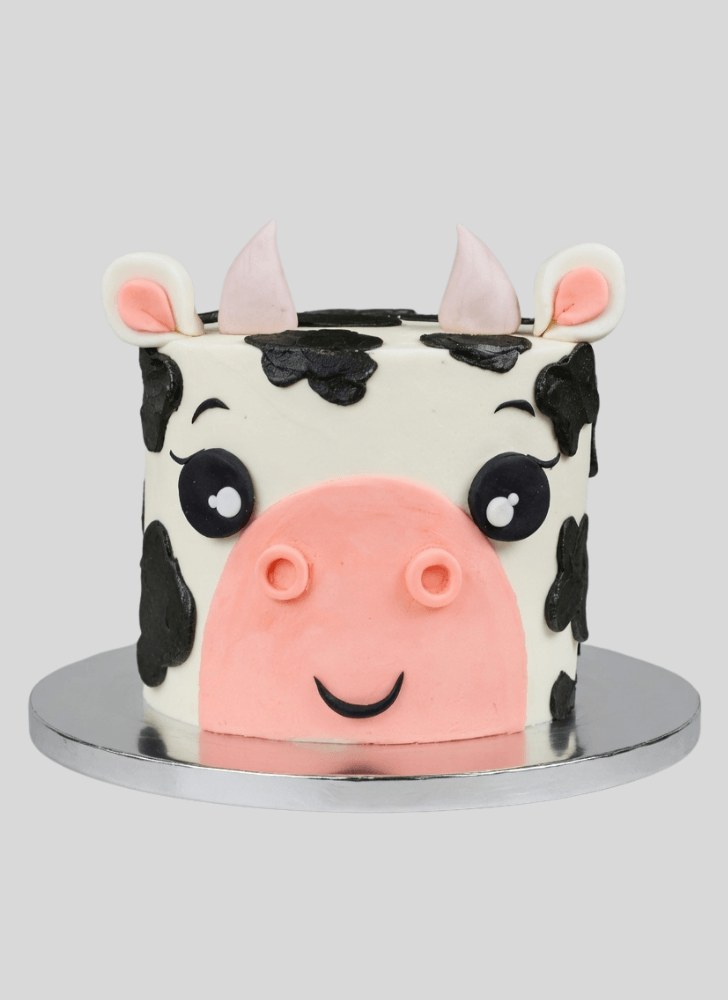 Comely Cow Cake