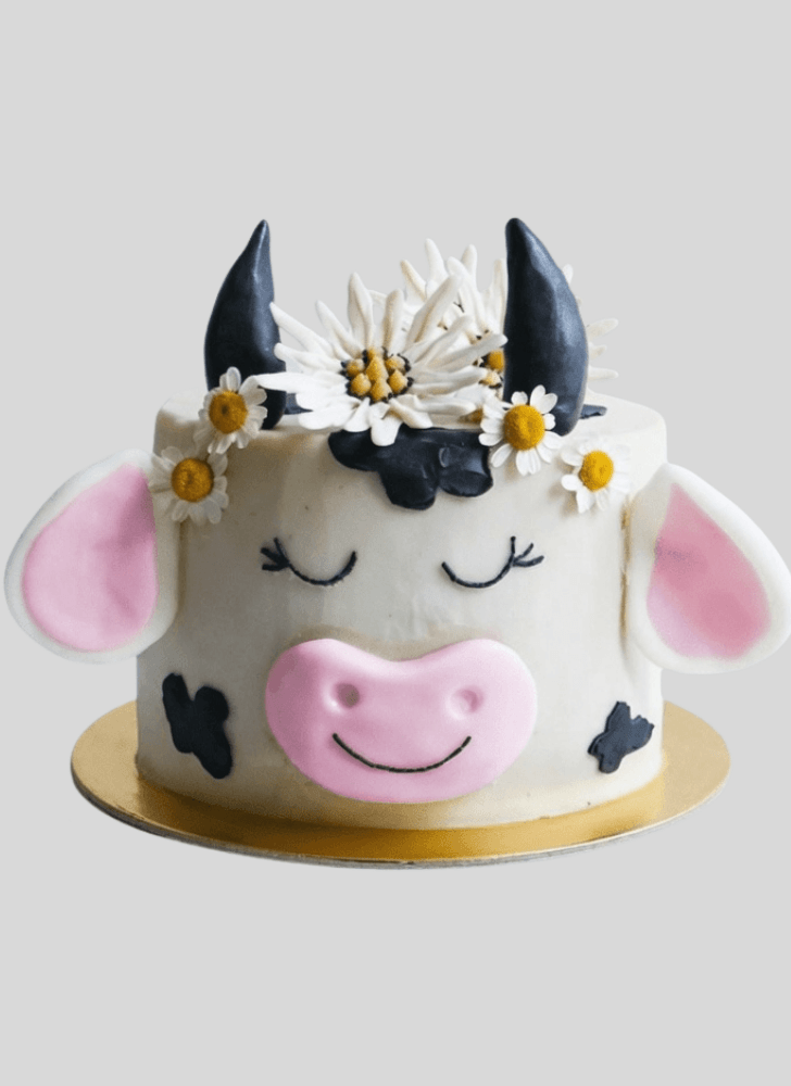 Excellent Cow Cake