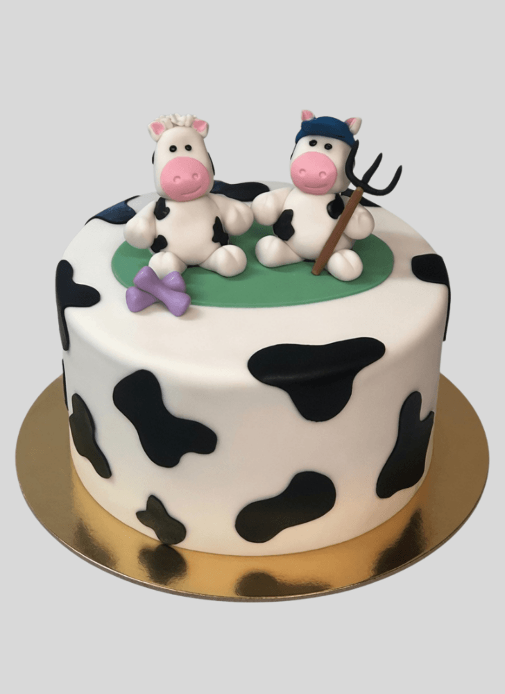 Fine Cow Cake