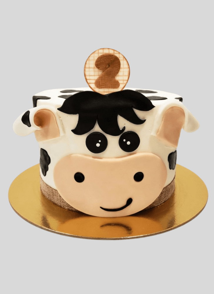 Good Looking Cow Cake