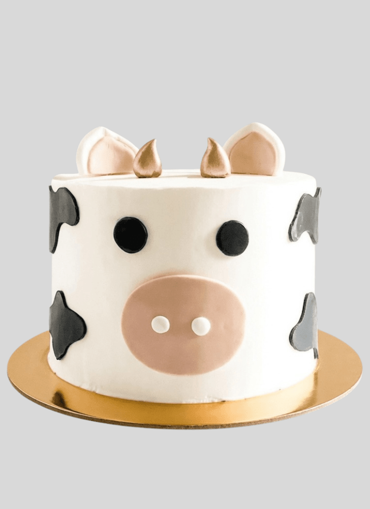 Handsome Cow Cake