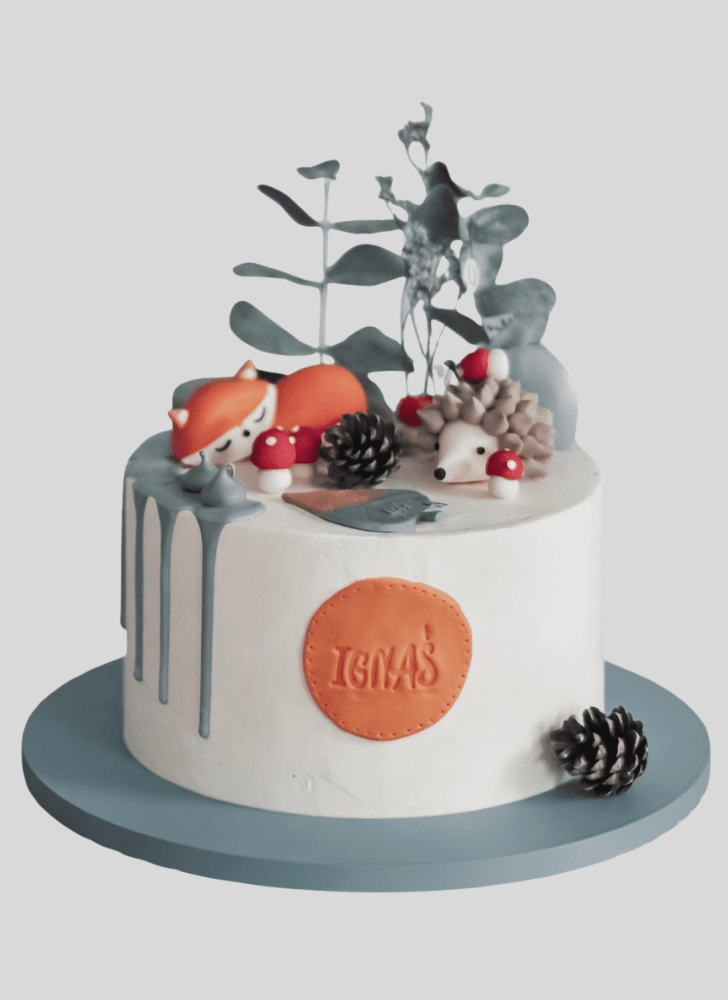 Bewitching Fox Cake