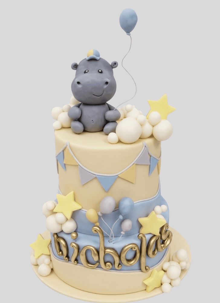 Beauteous Hippopotamus Cake