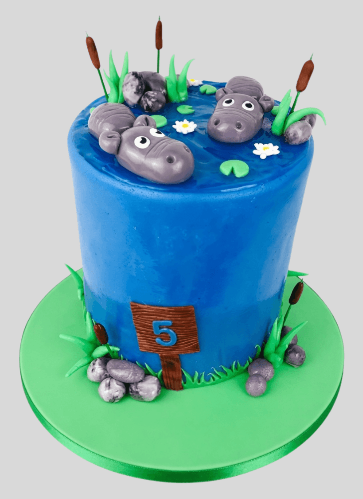 Bewitching Hippopotamus Cake