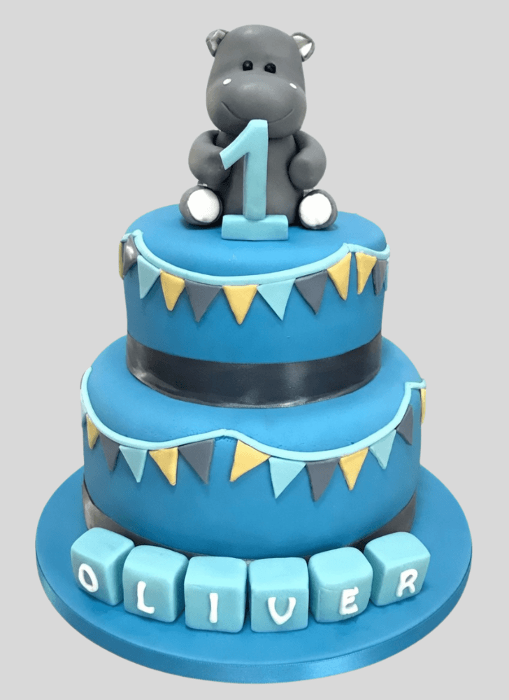 Comely Hippopotamus Cake