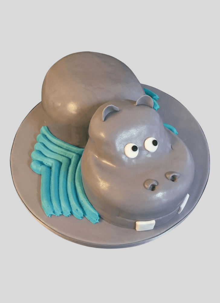 Cute Hippopotamus Cake
