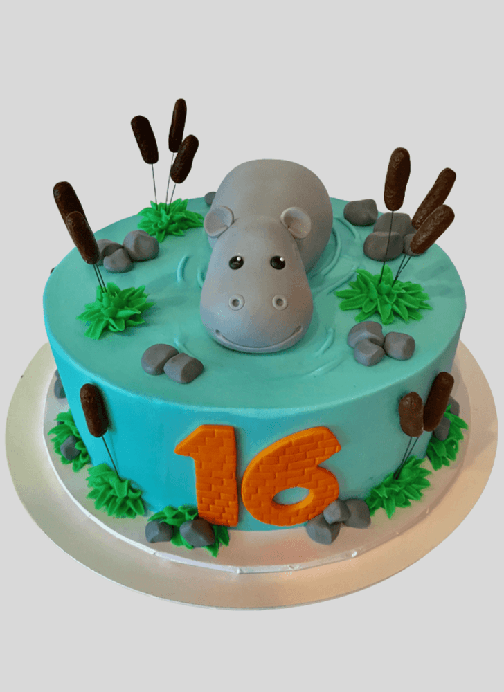 Dazzling Hippopotamus Cake