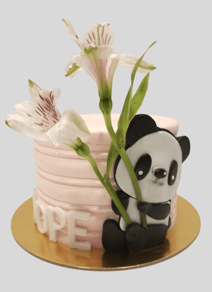 Enticing Panda Cake