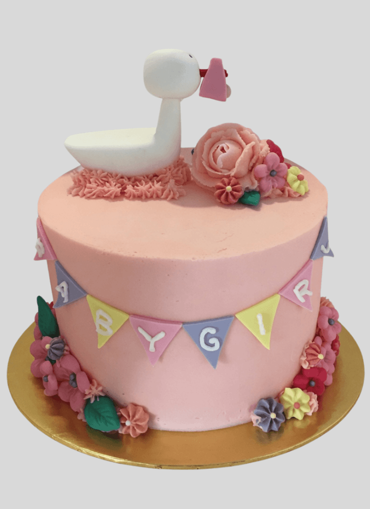 Delicate Pelican Cake