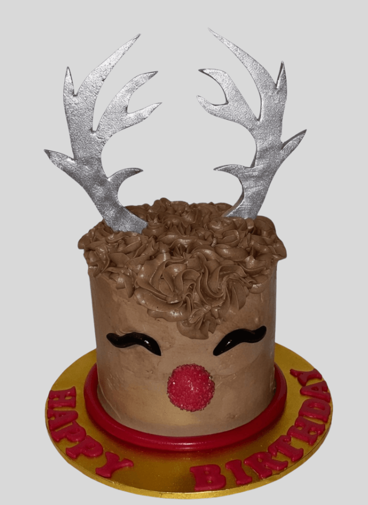 Ideal Reindeer Cake