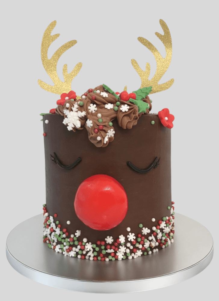 Magnetic Reindeer Cake