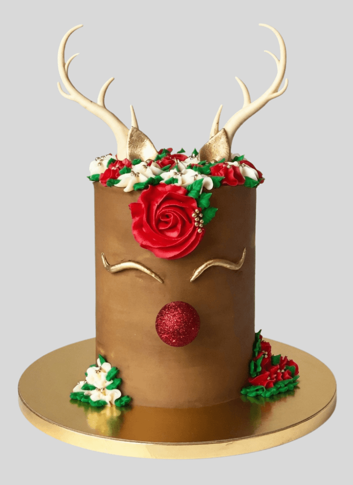 Slightly Reindeer Cake