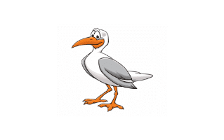 Seagull