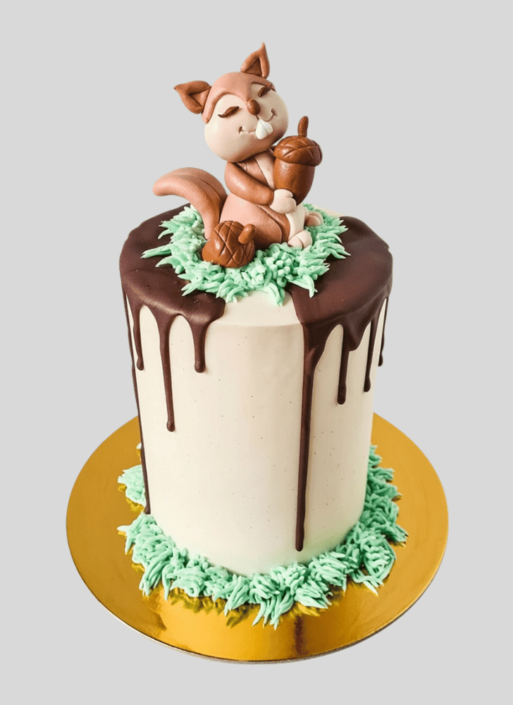 Excellent Squirrel Cake