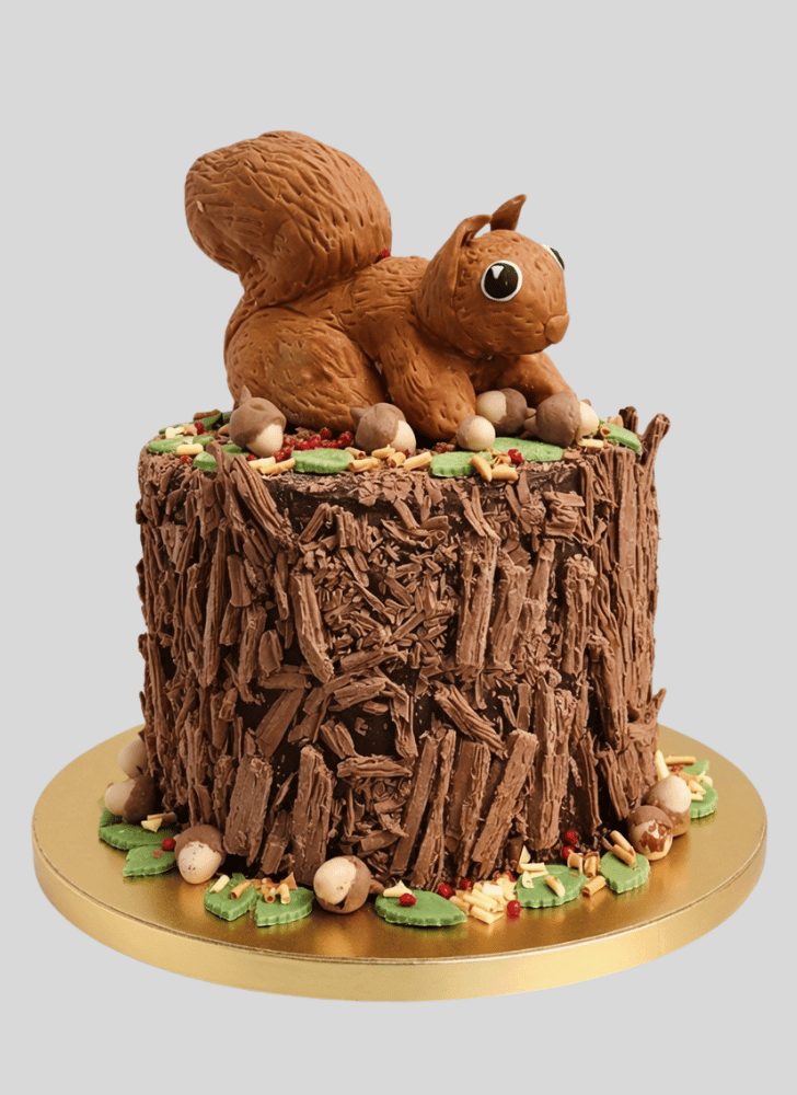 ExquisSquirrele Squirrel Cake