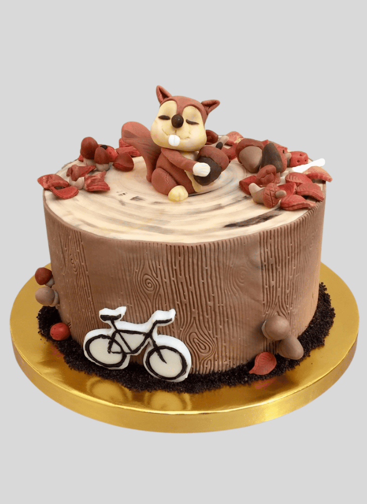 Fetching Squirrel Cake