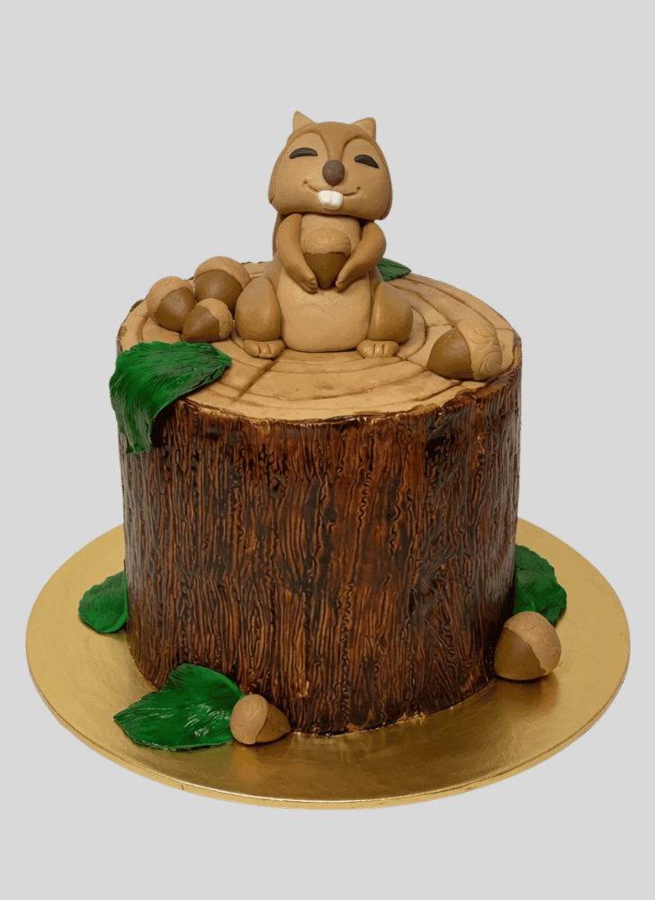 Gorgeous Squirrel Cake