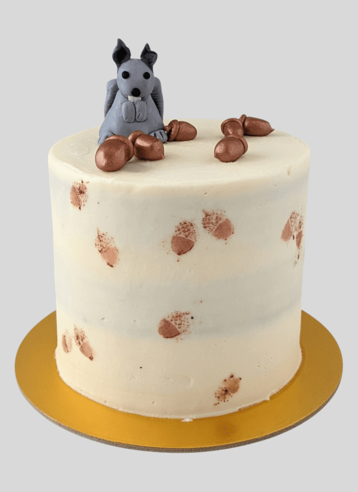 Magnetic Squirrel Cake