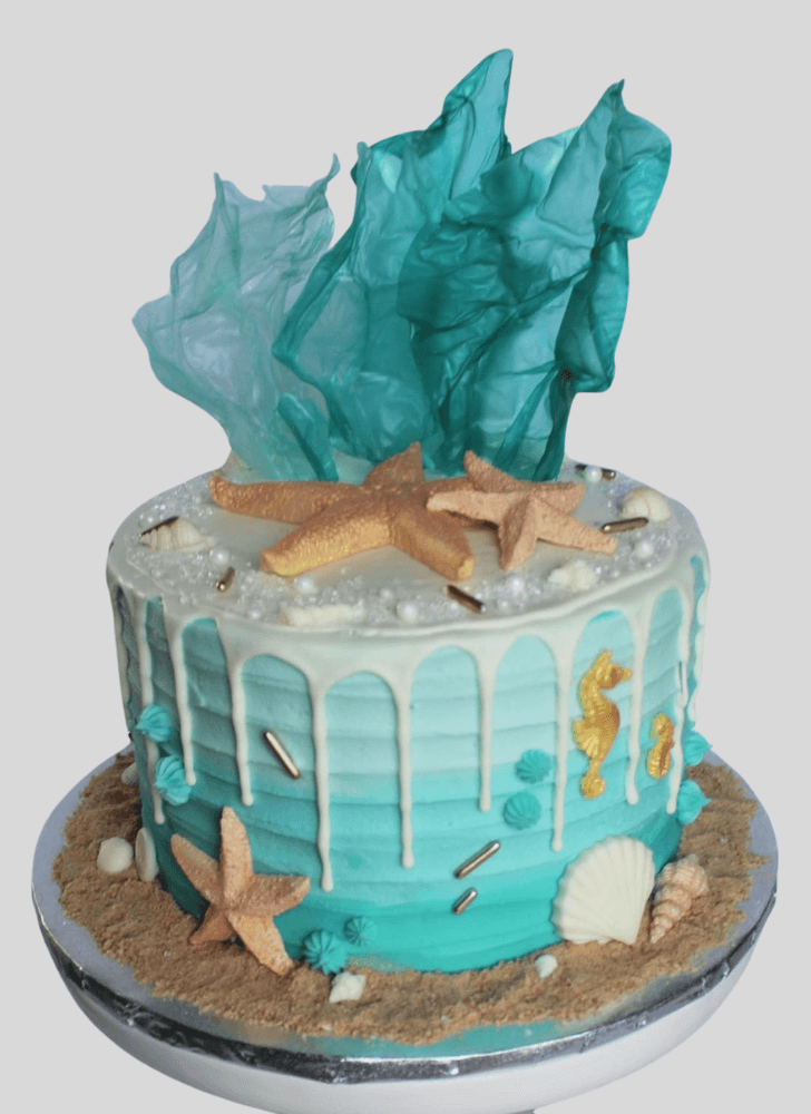 Splendid Starfish Cake