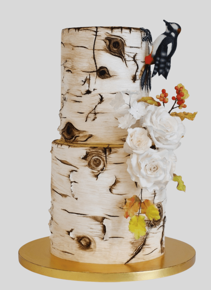Bewitching Woodpecker Cake