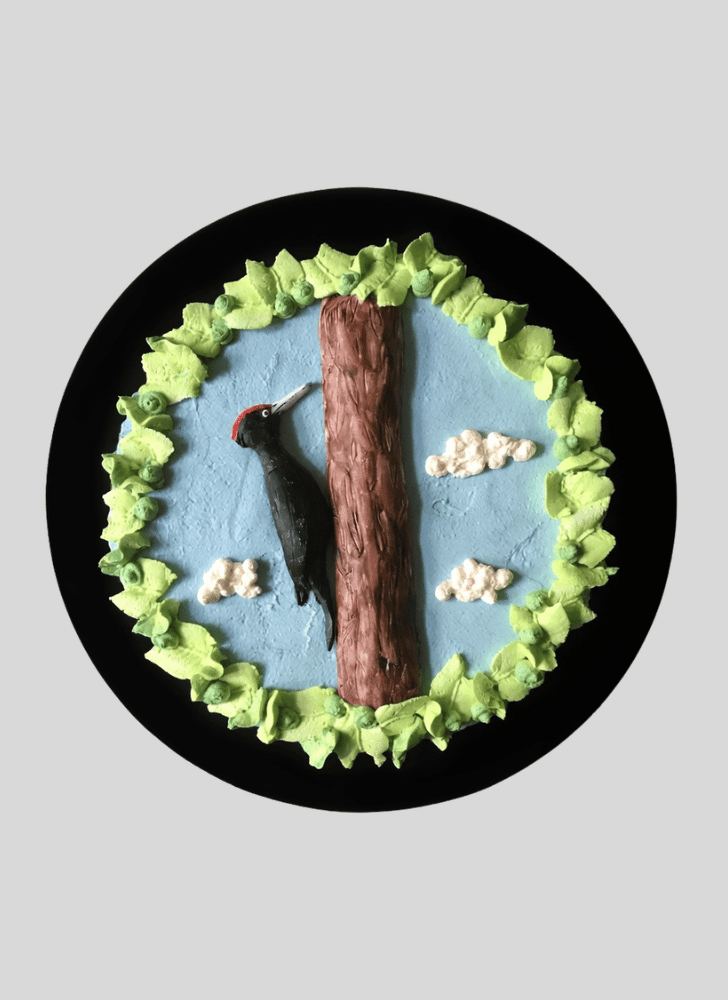 Charming Woodpecker Cake