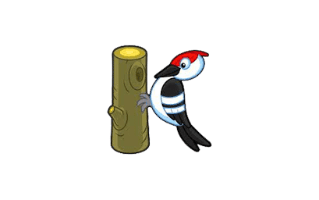 Woodpecker