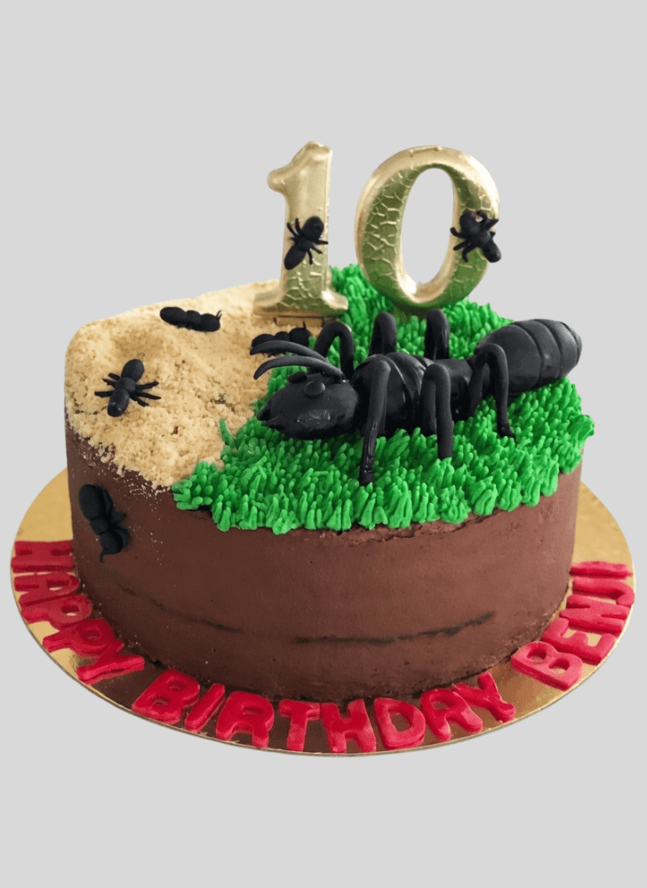 Beauteous Ant Cake